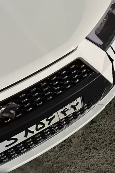 نگین سپر بیضی دنا و دناپلاس